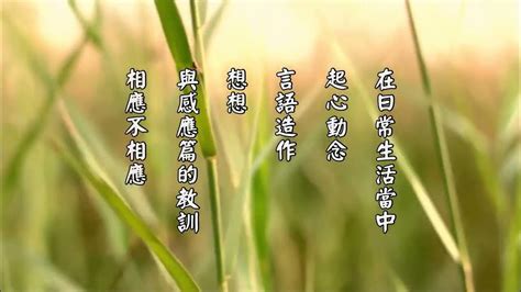 依報隨著正報轉|太上感應篇精華節錄【第6集】依報隨著正報轉